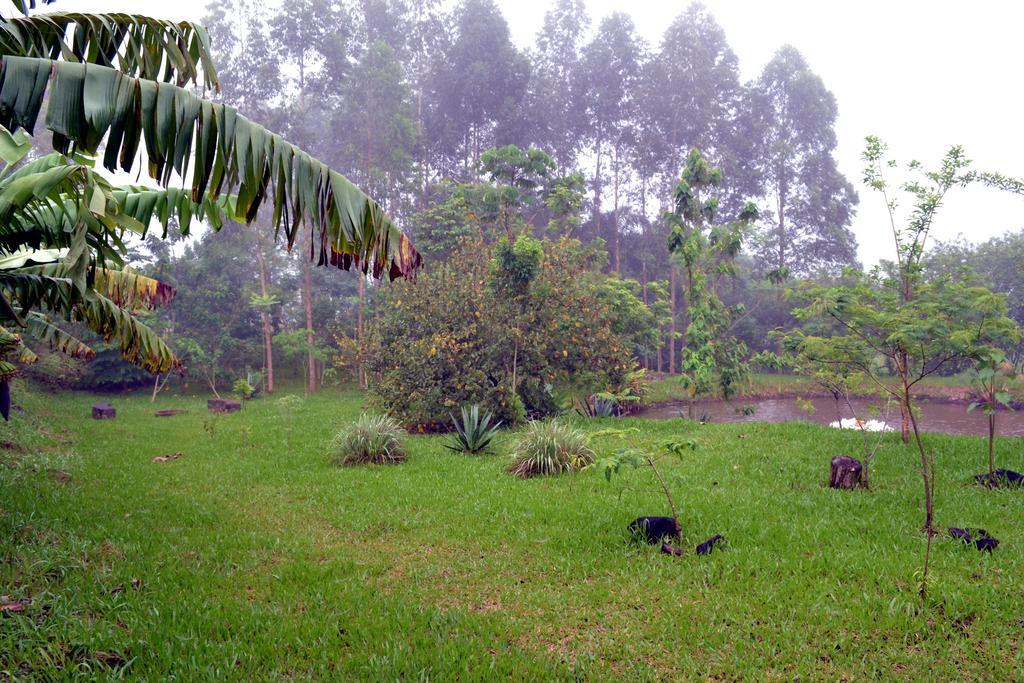 Pousada Guata Pora Foz do Iguacu Ngoại thất bức ảnh