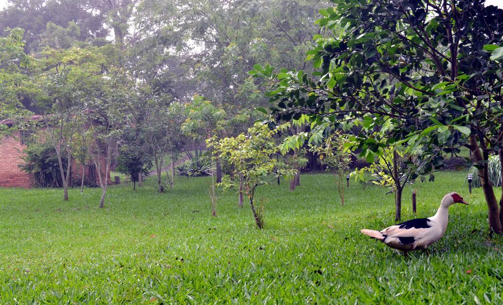 Pousada Guata Pora Foz do Iguacu Ngoại thất bức ảnh