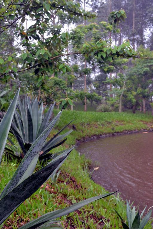 Pousada Guata Pora Foz do Iguacu Ngoại thất bức ảnh