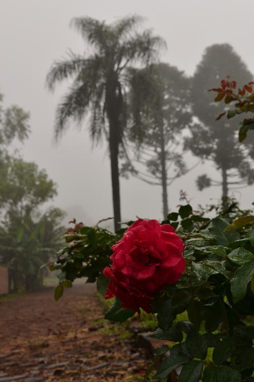 Pousada Guata Pora Foz do Iguacu Ngoại thất bức ảnh