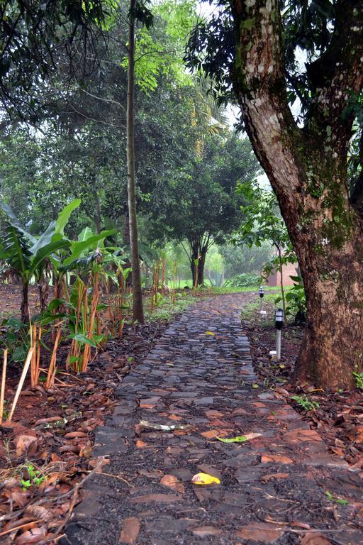 Pousada Guata Pora Foz do Iguacu Ngoại thất bức ảnh