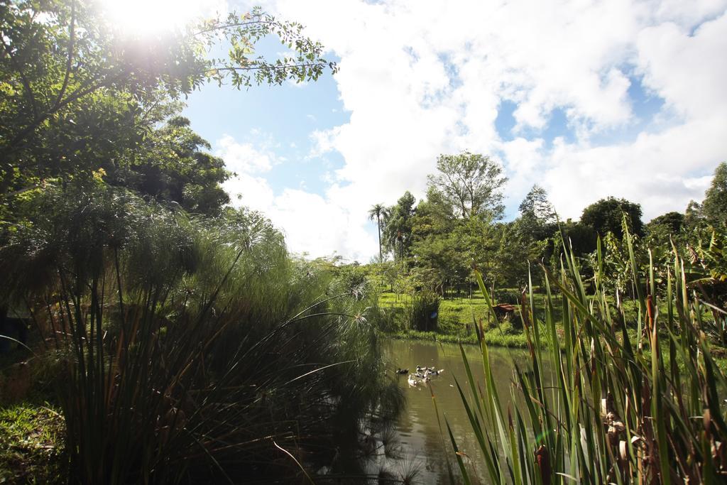 Pousada Guata Pora Foz do Iguacu Ngoại thất bức ảnh