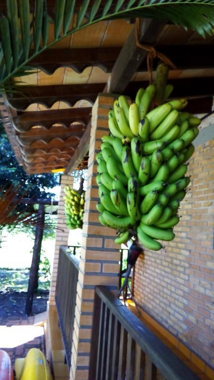 Pousada Guata Pora Foz do Iguacu Ngoại thất bức ảnh