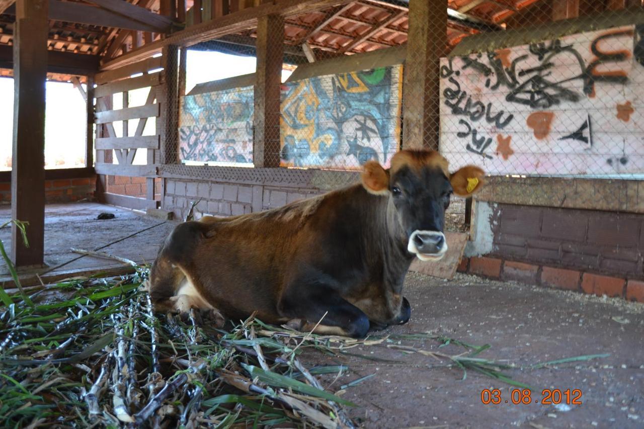 Pousada Guata Pora Foz do Iguacu Ngoại thất bức ảnh