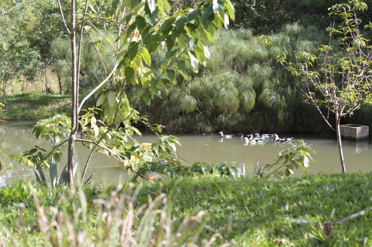 Pousada Guata Pora Foz do Iguacu Ngoại thất bức ảnh