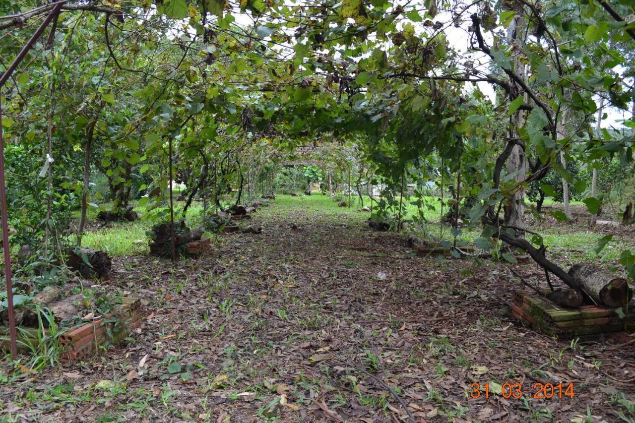 Pousada Guata Pora Foz do Iguacu Ngoại thất bức ảnh